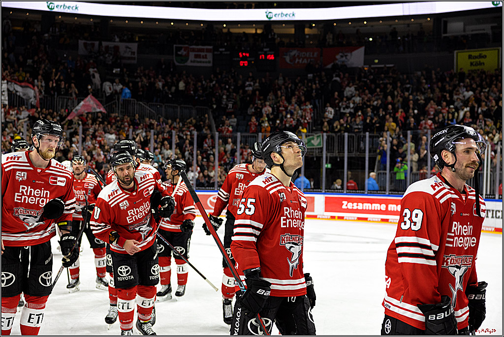 PENNY DEL;  Kölner Haie - Nuernberger Ice Tigers; Köln, 18.11.2022